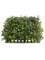 Set of 12 - Durable 12"x12" Boxwood Squares - Versatile, Greenery Decor for Outdoor and Indoor Use - Perfect for Wall Art, Wedding Decor, Home Styling - Lifelike Artificial Plant Panels, Floral Home by Artificial Flowers